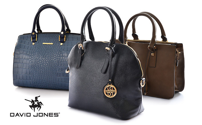 David Jones Bags