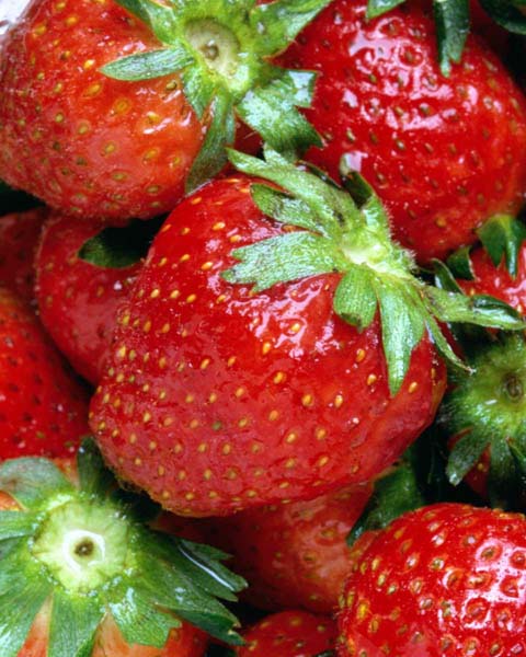 strawberries