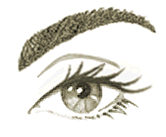 prominent eyelid