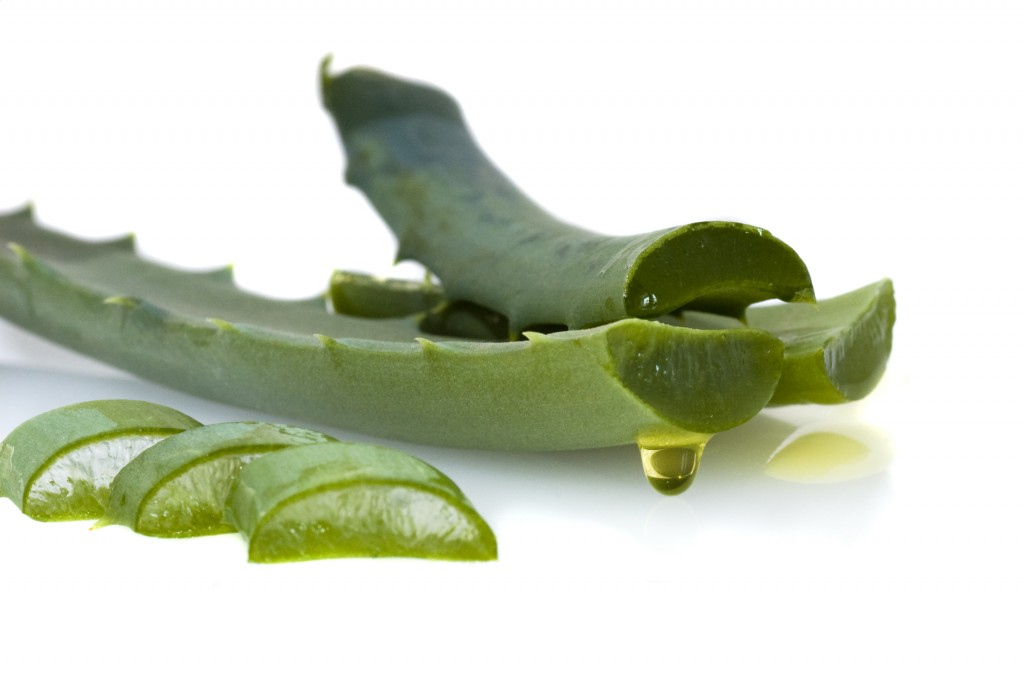 Aloe-Vera-Oil-Extract