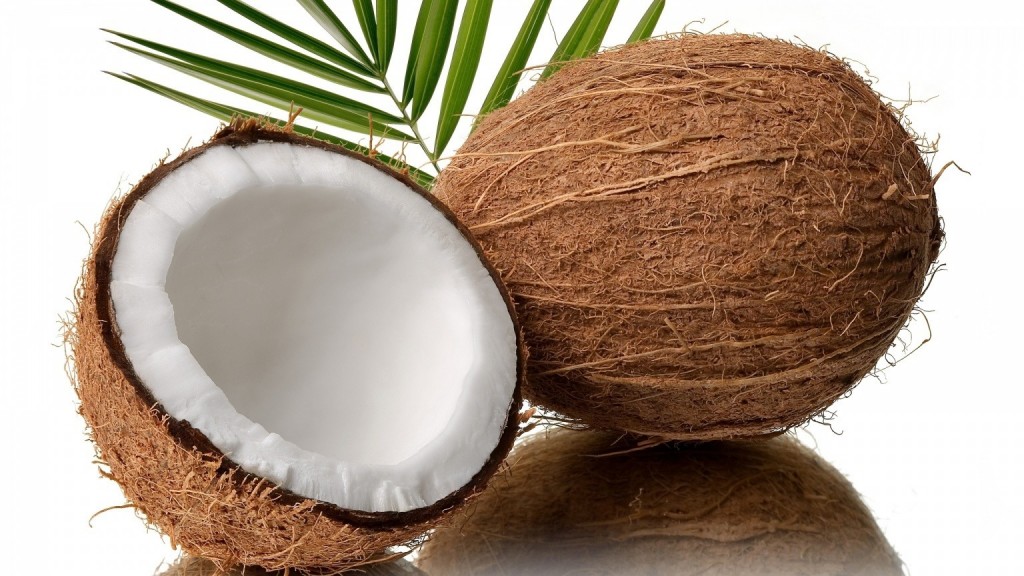 coconut oil for split ends