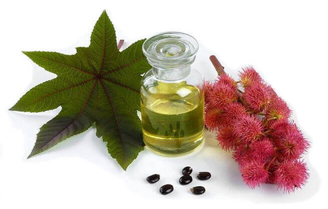 castor oil