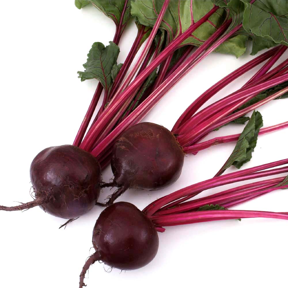 beet-root