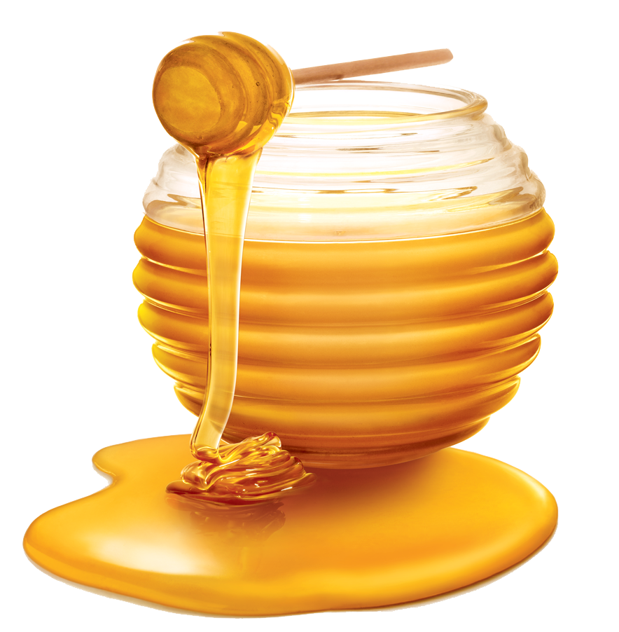 honey clipart - photo #34