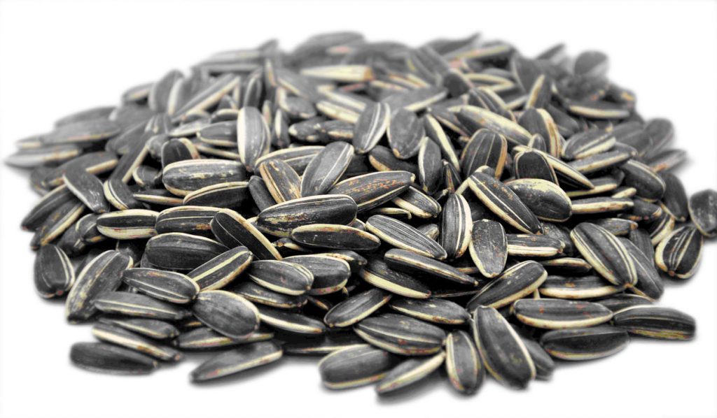 sunflower-seeds