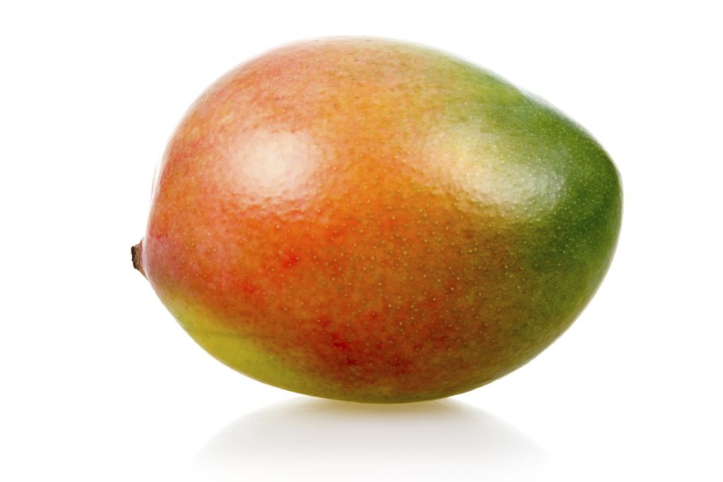 mango fruit