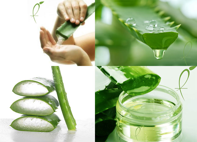 aloe vera gel