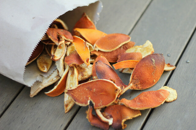 dried orange peel