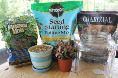 activated charcoal for gardening