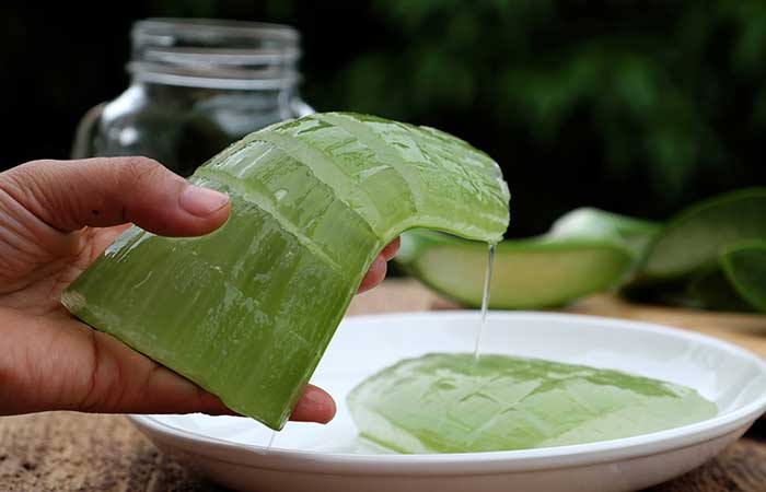 Homemade Aloe Vera and Avocado Face Mask Recipes