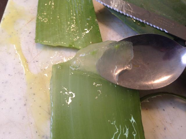 scraping aloe vera gel