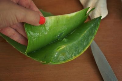 scooping aloe vera gel