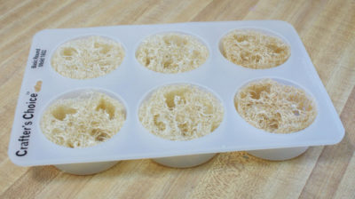 loofah soap in molds