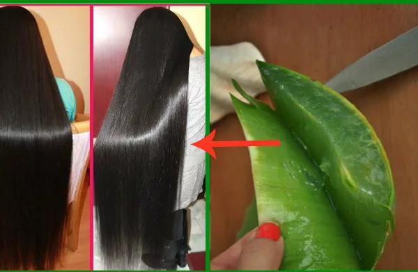 6 Home Remedies for Hair Growth and Thickness
