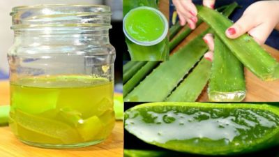 oil and aloe vera