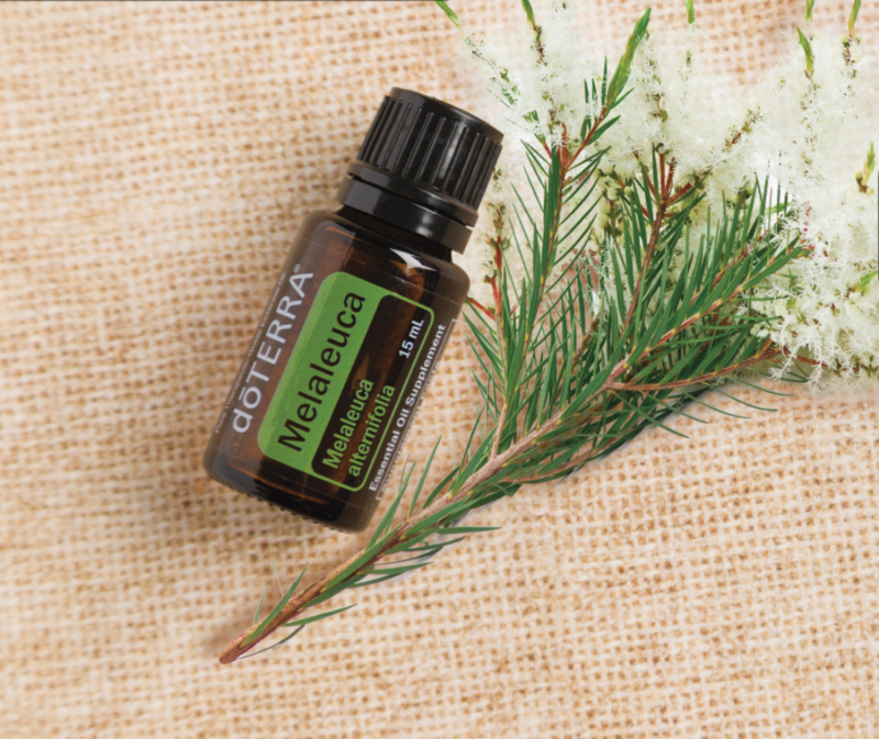 tea tree essential oil