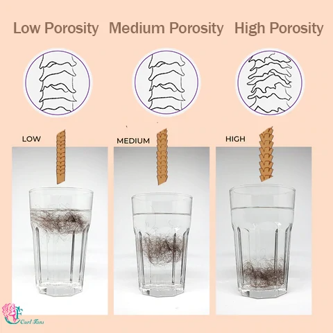 hair porosity